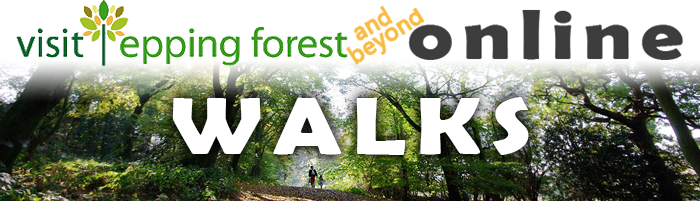 Poster with writing for Visit Epping Forest Online Walks